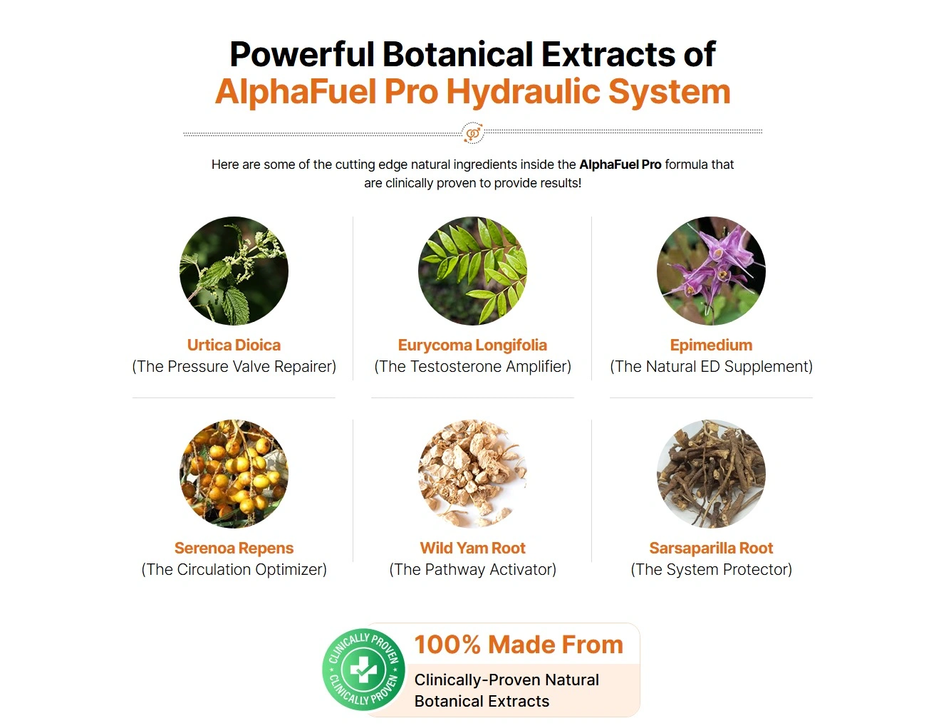 Blood Armor Supplement